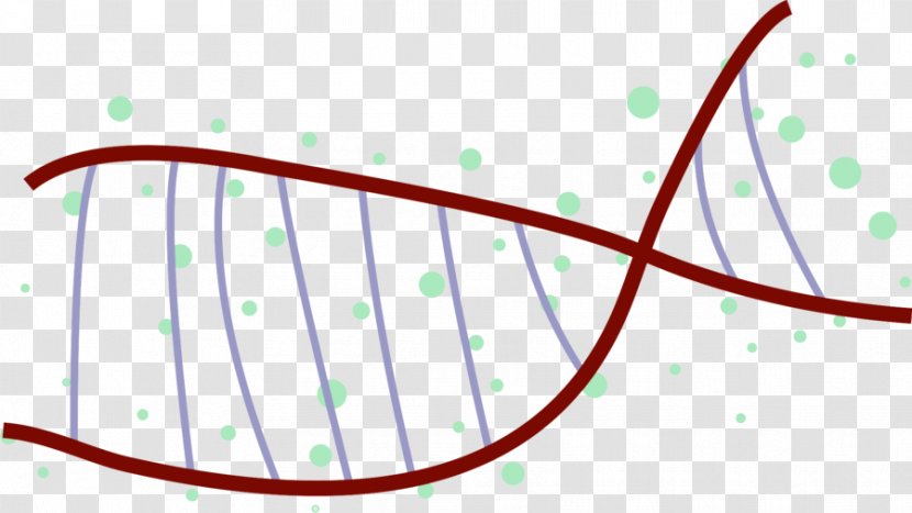 Circle Diagram Point Angle Clip Art - Green - Dna Vector Transparent PNG