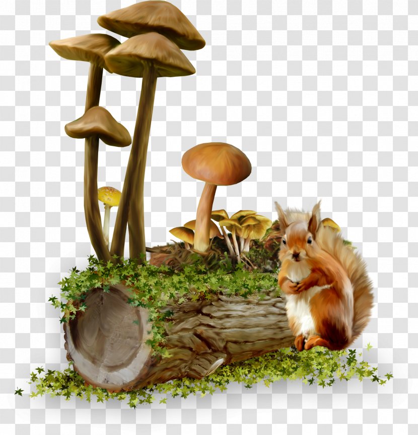 Mushroom Clip Art Transparent PNG