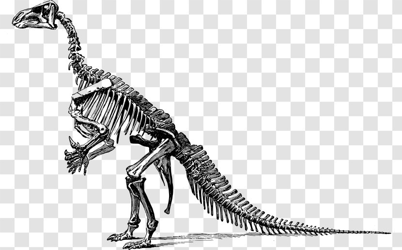 Tyrannosaurus Stegosaurus Iguanodon Dinosaur Art: The World's Greatest Paleoart Brontosaurus - Apatosaurus - Vector Transparent PNG