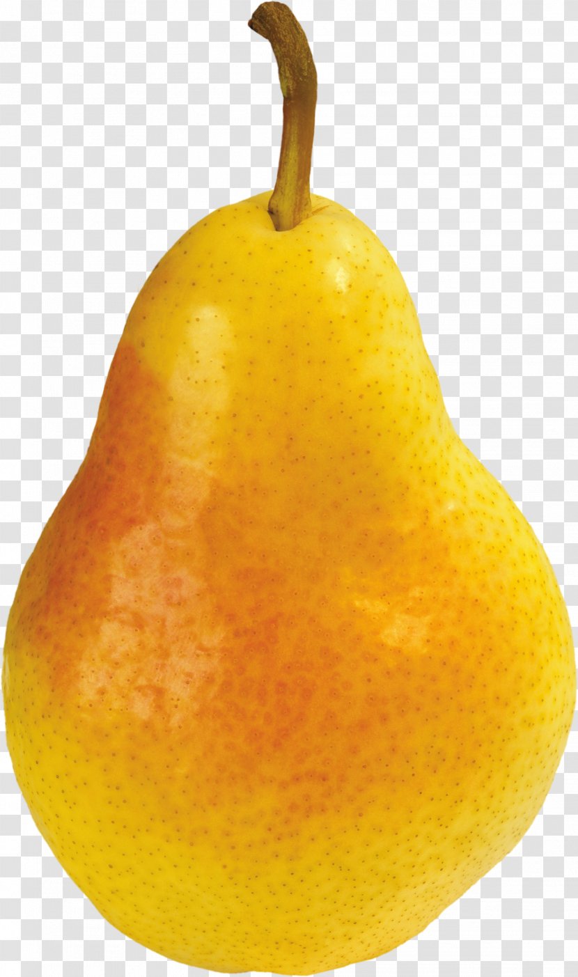 Citron Asian Pear Citrus Junos Tangelo Still Life Photography - Image Transparent PNG