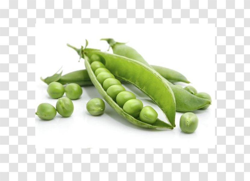 Pea Vegetable Legume Food Plant Transparent PNG