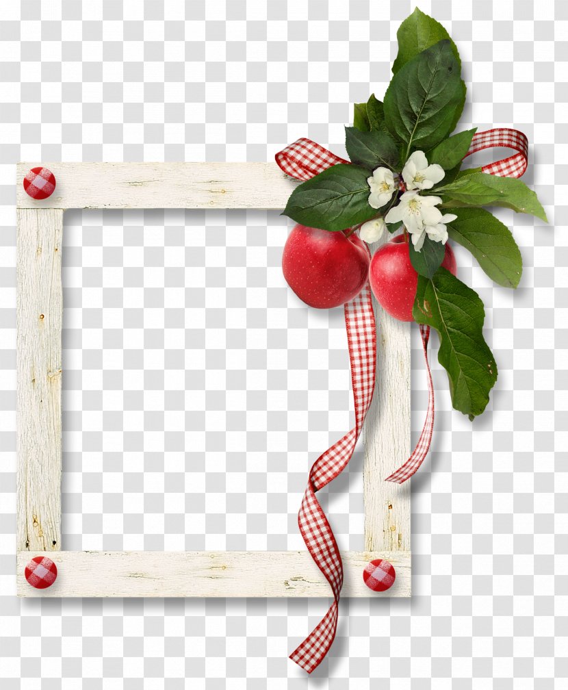 Picture Frames - Photography - Silver Frame Transparent PNG