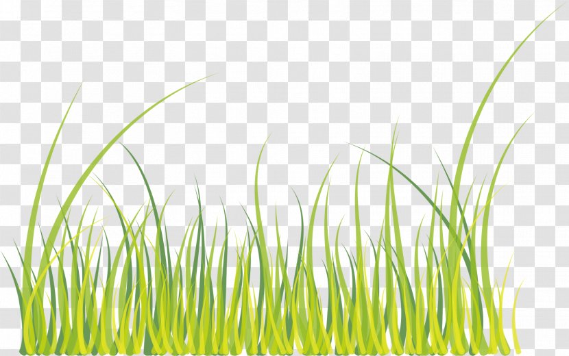 Green Download - Plant - Grass Transparent PNG