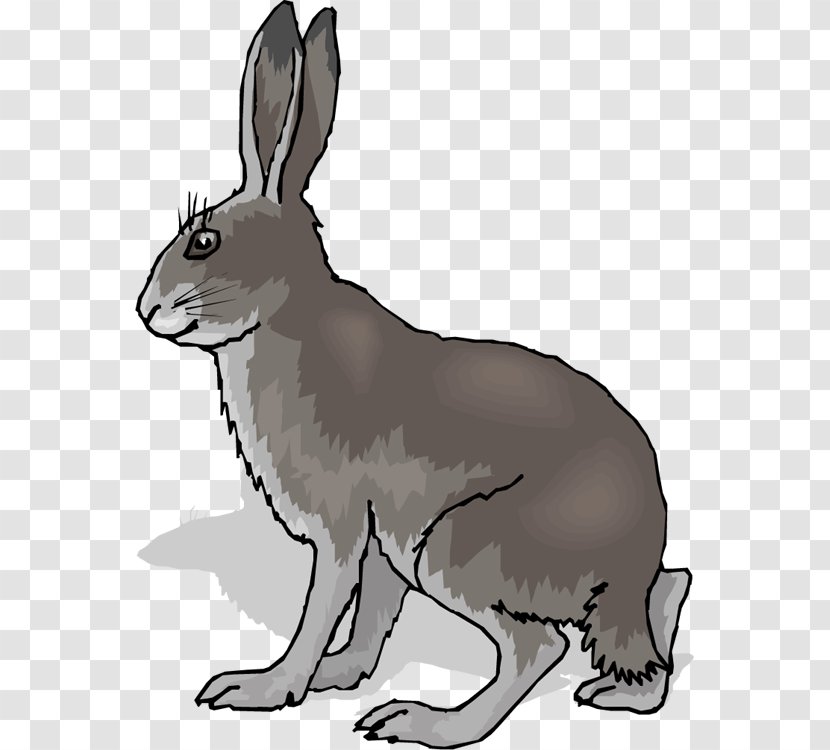 Hare Rabbit Clip Art - Wood Transparent PNG