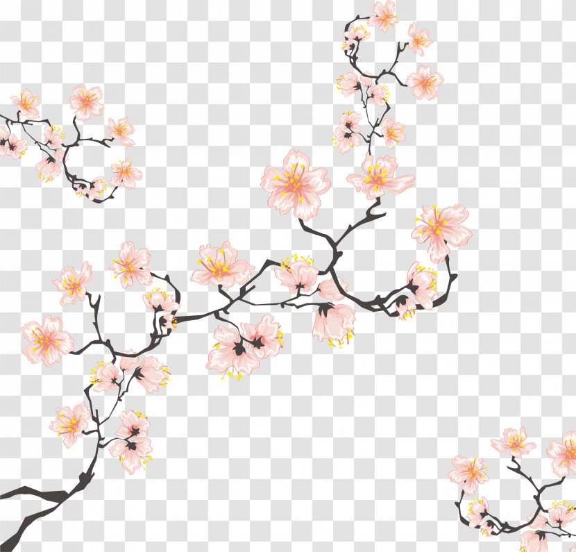 Cherry Blossom Drawing Illustration - Petal - Tree Branches Transparent PNG