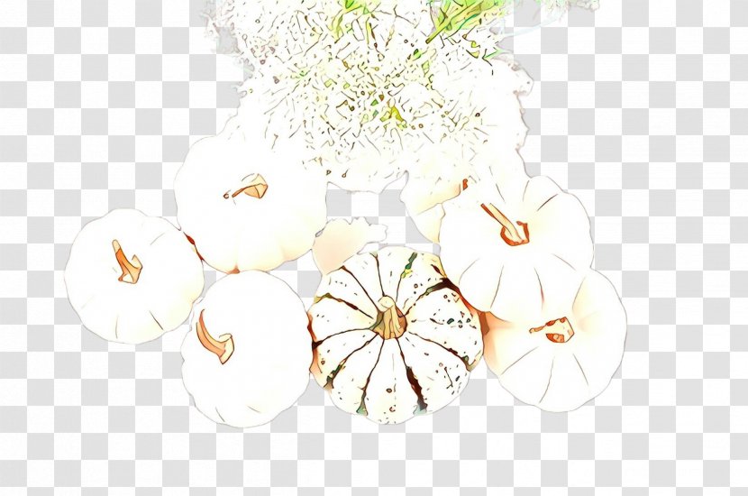 White Plant Flower Branch Wildflower - Blossom Transparent PNG
