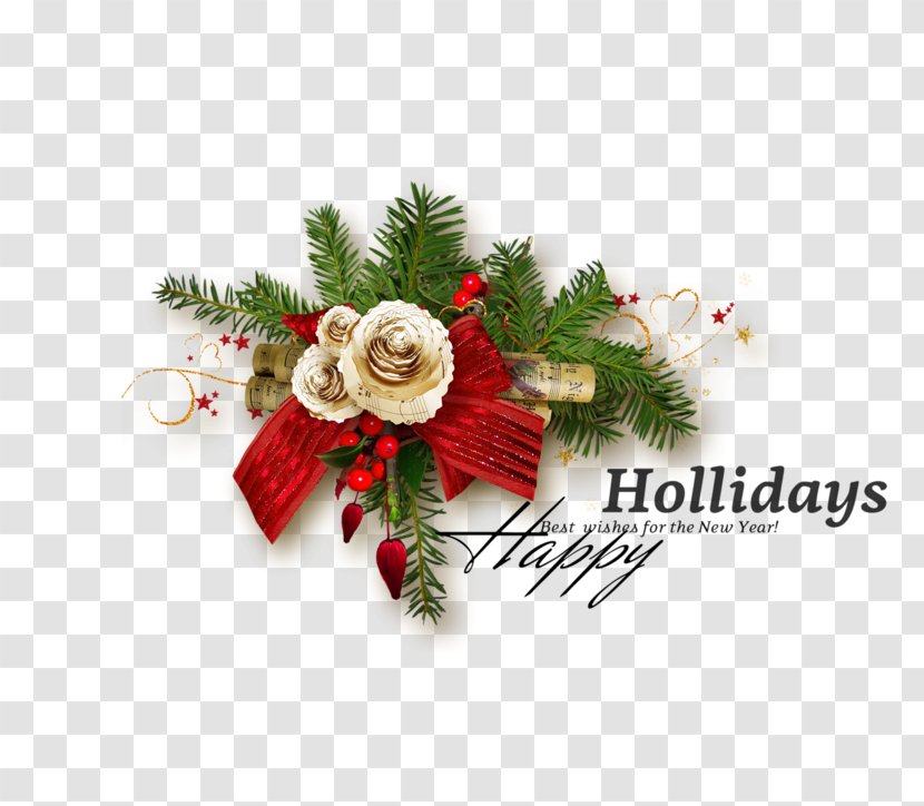 Christmas And New Year Background - Rose Family - Interior Design Transparent PNG