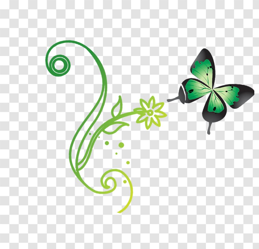 Butterfly Clip Art - Organism Transparent PNG