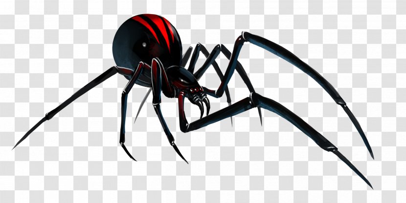 Southern Black Widow Redback Spider Clip Art - Pest - File Transparent PNG