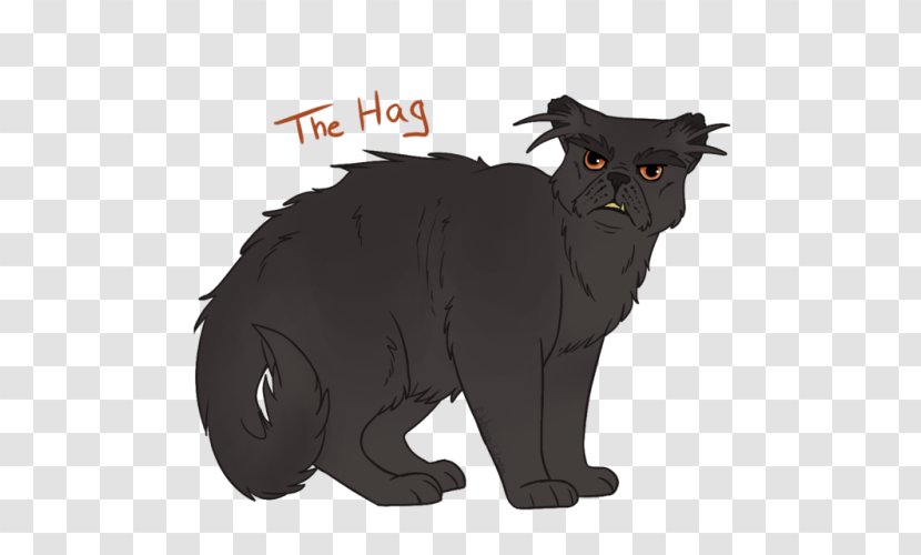 Hag Black Cat Whiskers Domestic Short-haired - Grumpy Transparent PNG