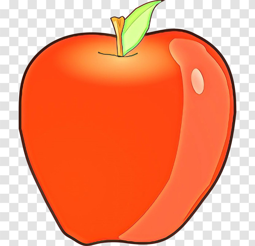 Orange Transparent PNG