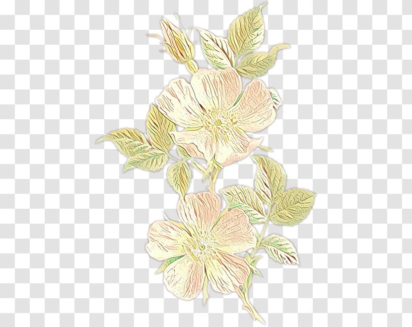 Floral Design Cut Flowers Flowering Plant Plants - Herbaceous Transparent PNG