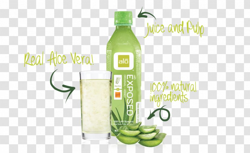 Fruchtsaft Drink Liqueur Jugo De Aloe Vera Juice Vesicles Transparent PNG