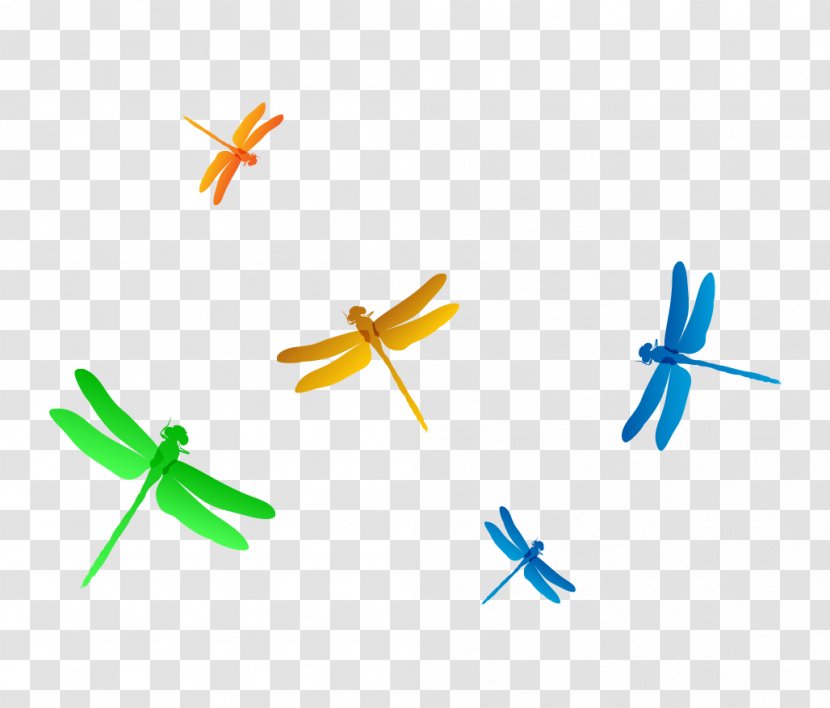 Dragonfly Euclidean Vector Clip Art - Rgb Color Model - Hand Colored Fly Gradient Transparent PNG