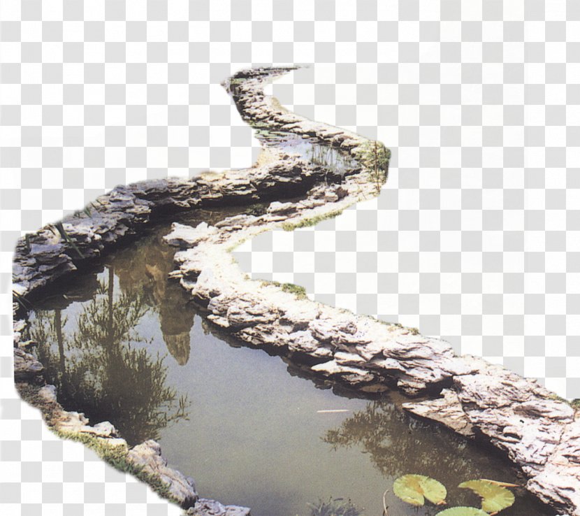 Download - Crocodilia - Bridges Transparent PNG