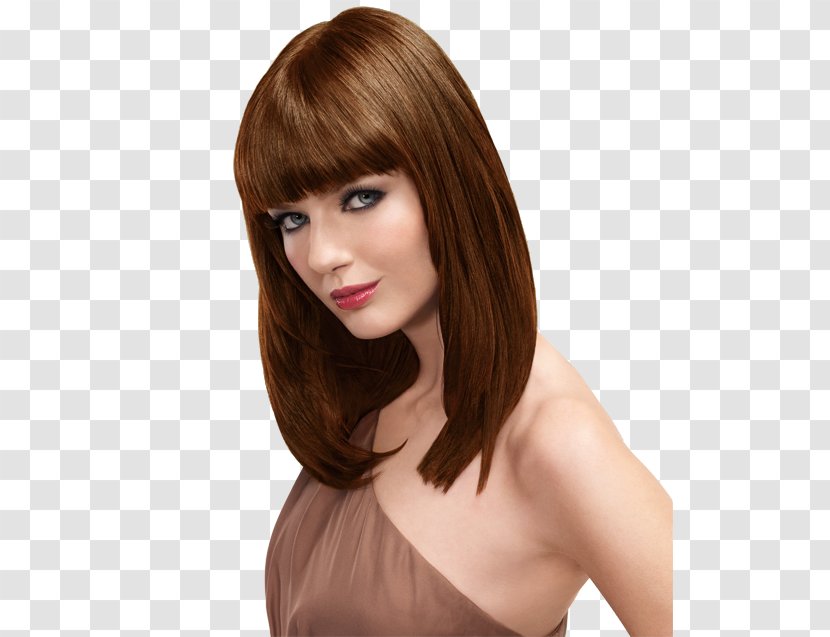 Human Hair Color Coloring Brown Layered - Step Cutting Transparent PNG