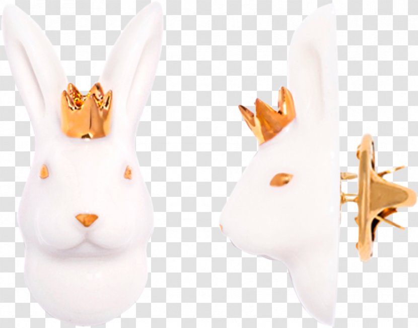 Domestic Rabbit Hare Ear - Orange - European Transparent PNG