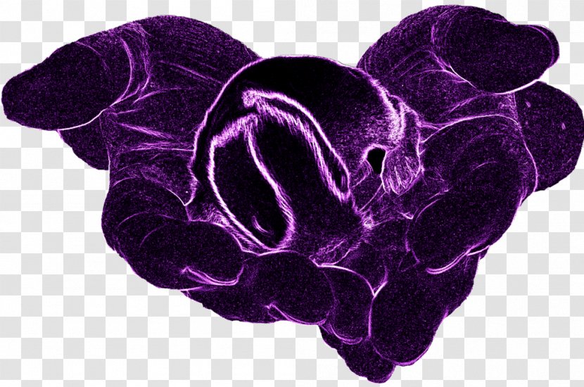 Organism - Violet - Purple Neon Transparent PNG