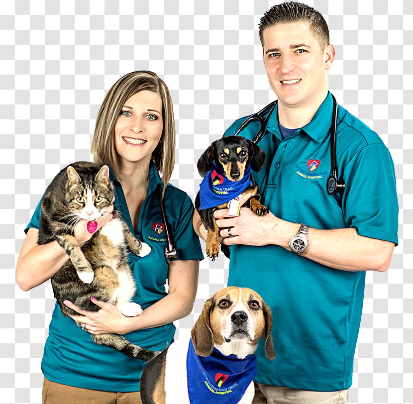 Puppy Susquehanna Trail Animal Hospital Veterinarian Pet Ray Tritch - Dog Transparent PNG