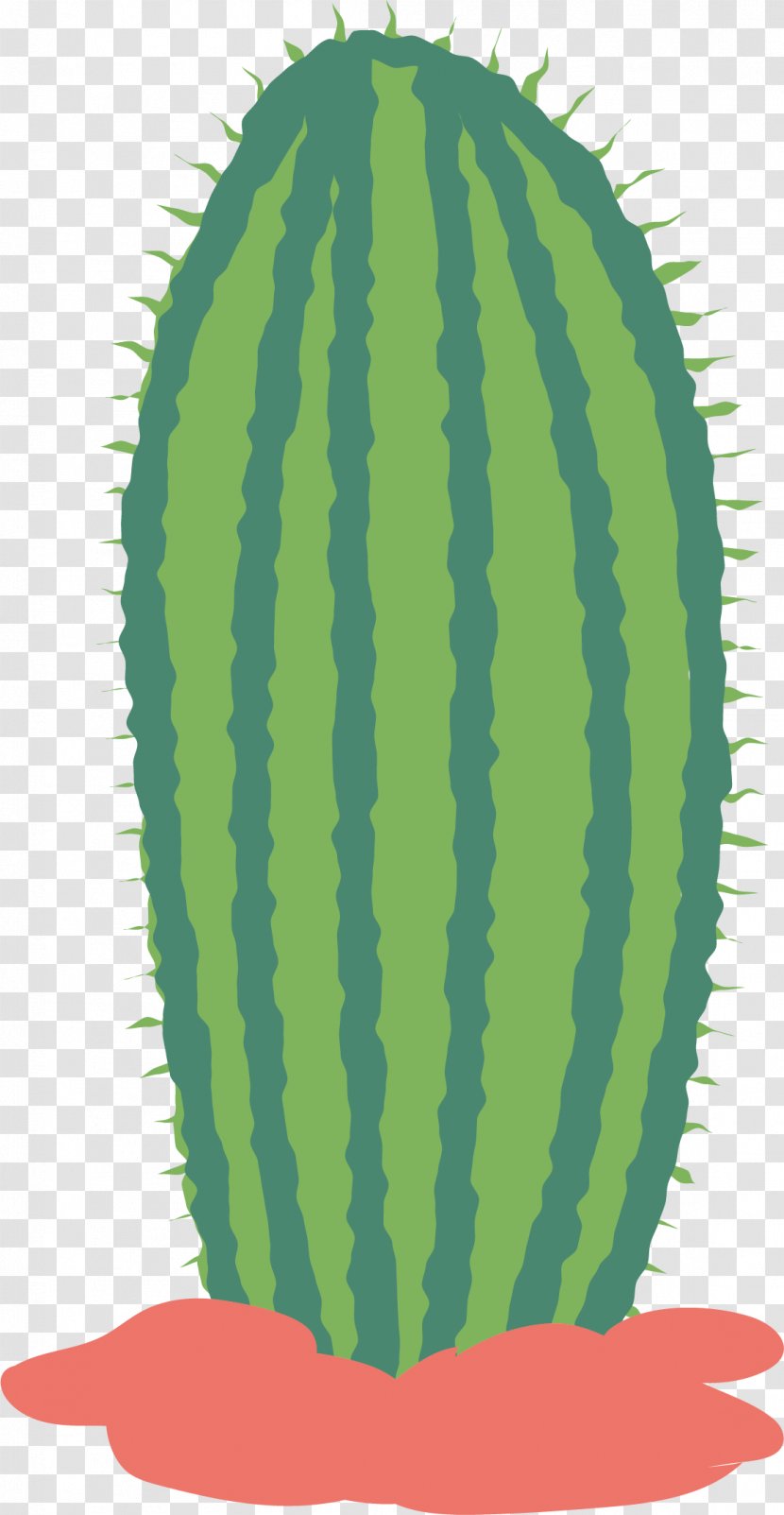 Watermelon Euclidean Vector Illustration - Melon - Cactus Transparent PNG