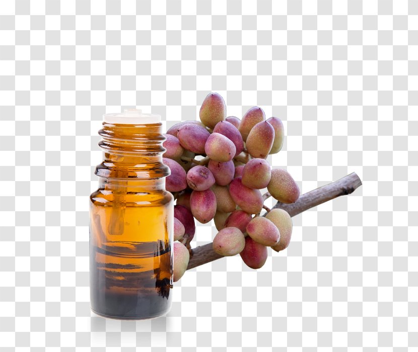 Mastic Tree Coustellet Glass Bottle Essential Oil - Pistachio - Pistacia Lentiscus Transparent PNG