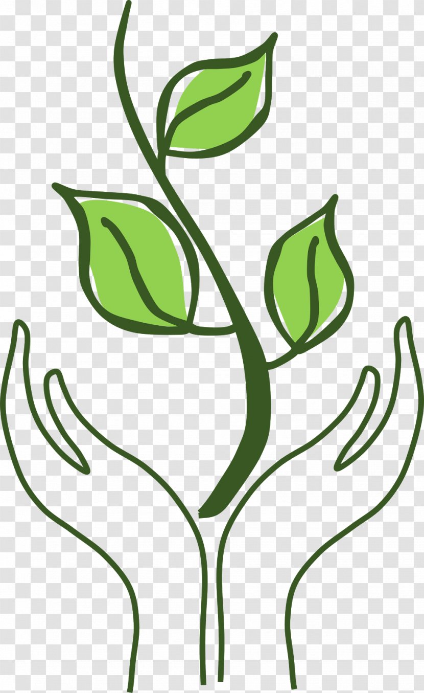 Floral Design Clip Art Leaf Font - Line - Flora Transparent PNG