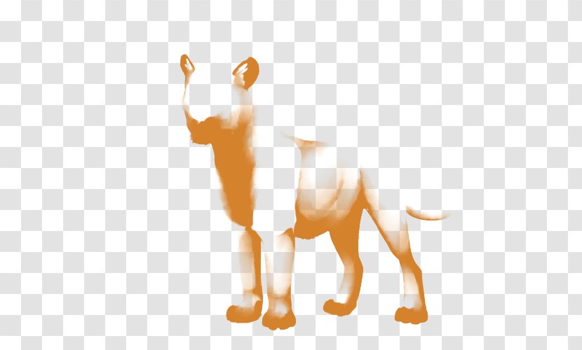 Lion Dog Big Cat - Tail Transparent PNG