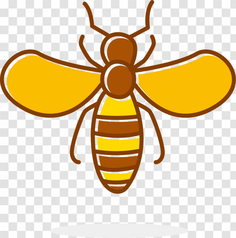 Honey Bee Apidae Clip Art - Insect - Light Venom Transparent PNG