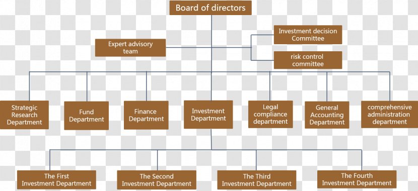Organization Company Corporate Structure Board Of Directors - Risk - Business Transparent PNG