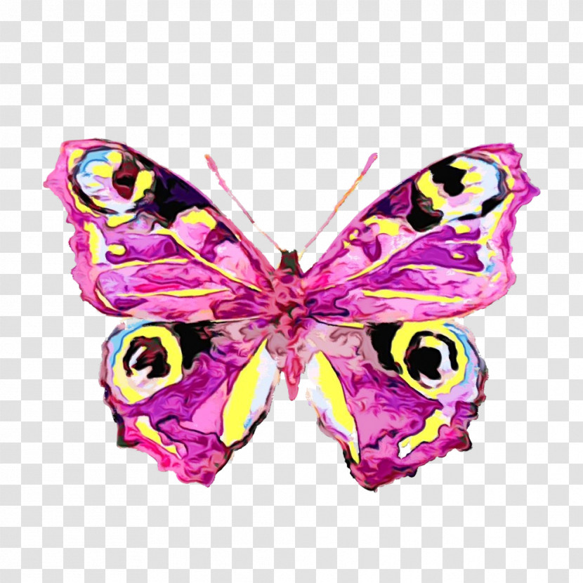Cynthia (subgenus) Butterfly Insect Pink Moths And Butterflies Transparent PNG