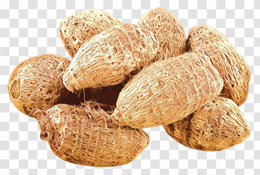 Nut Peanut Plant Food Zedoary Transparent PNG