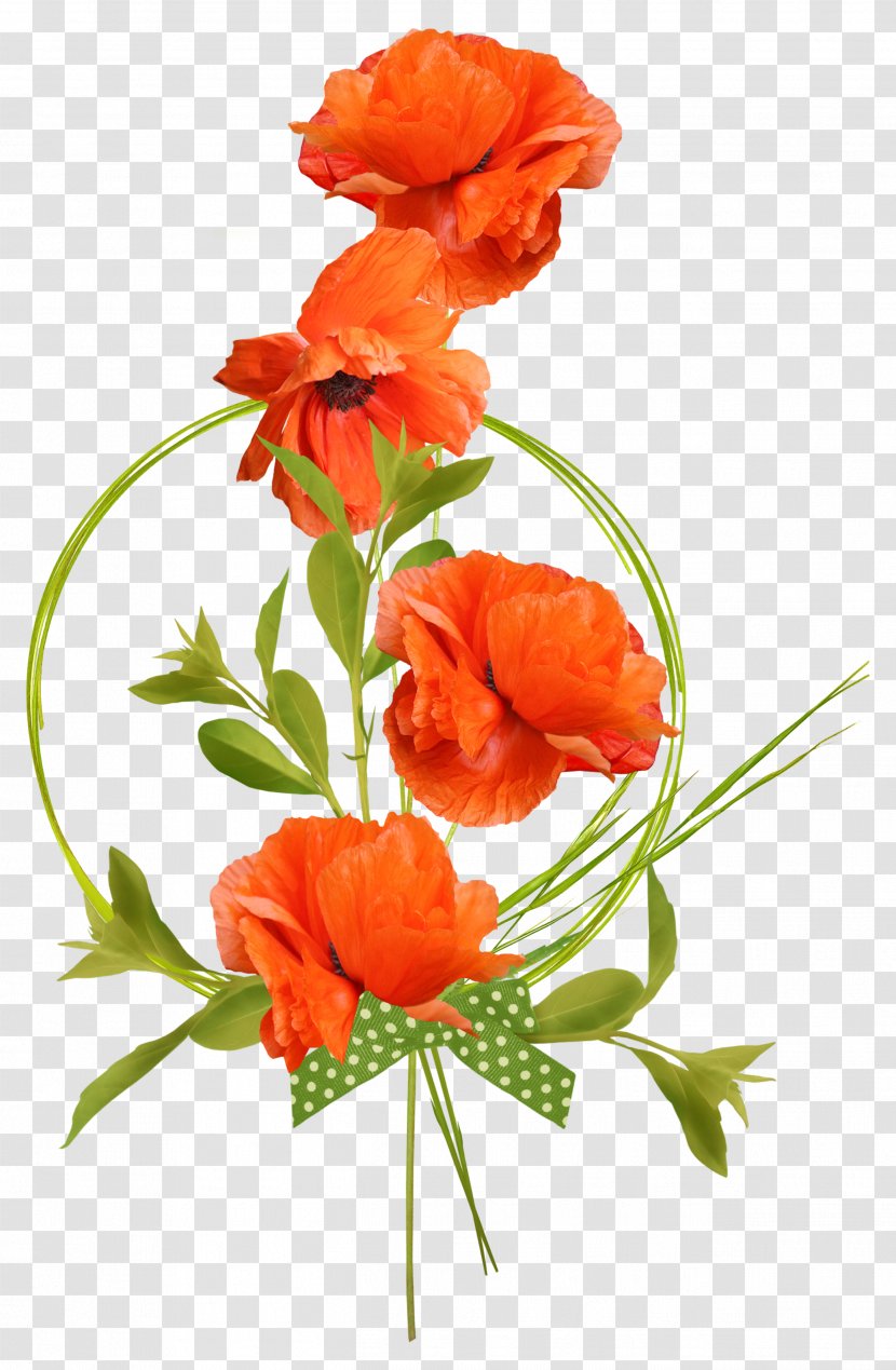 Flower Clip Art - Poppy Family Transparent PNG