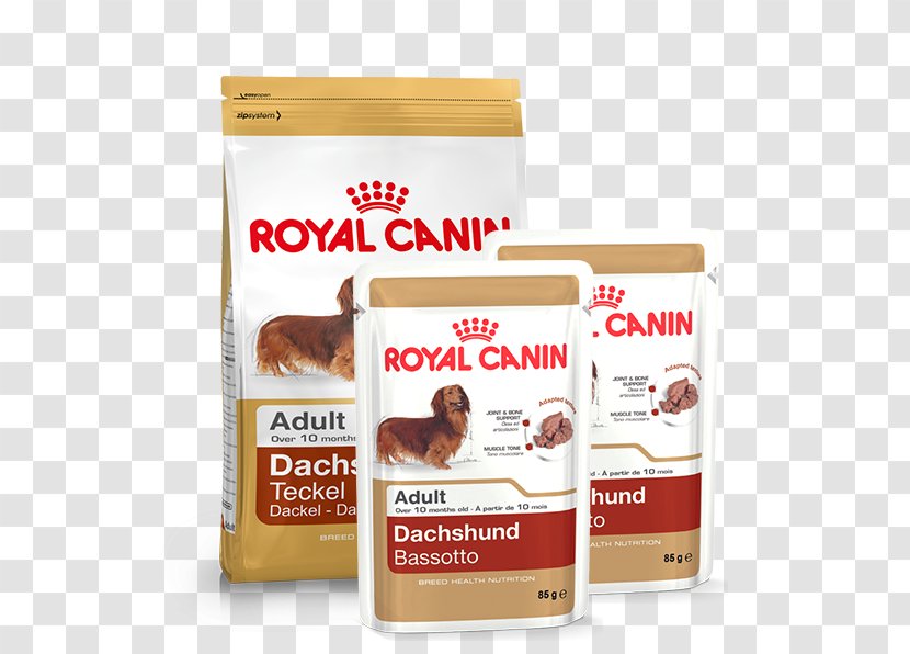 English Cocker Spaniel Labrador Retriever Cat Dog Food Royal Canin - Urinary So Canine Transparent PNG