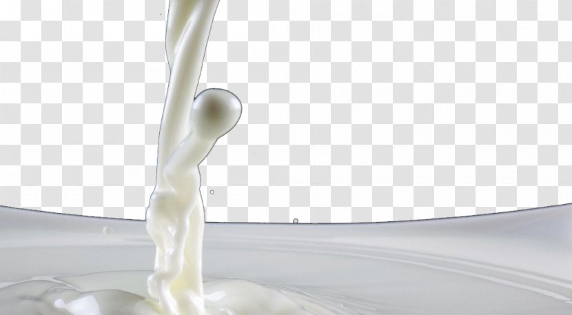 White Angle - Tap - Yogurt Transparent PNG