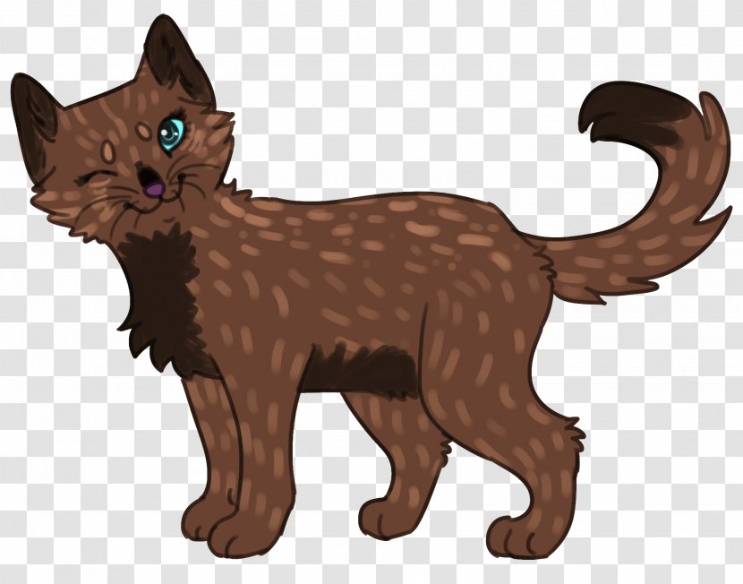 Whiskers Havana Brown Kitten Wildcat Domestic Short-haired Cat Transparent PNG
