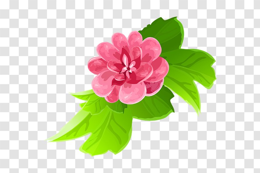 Cut Flowers Color Floral Design Clip Art - Pink - Flower Transparent PNG