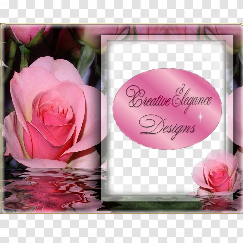 Garden Roses Wisdom Floral Design Greeting & Note Cards Petal - Creative Invitation Transparent PNG