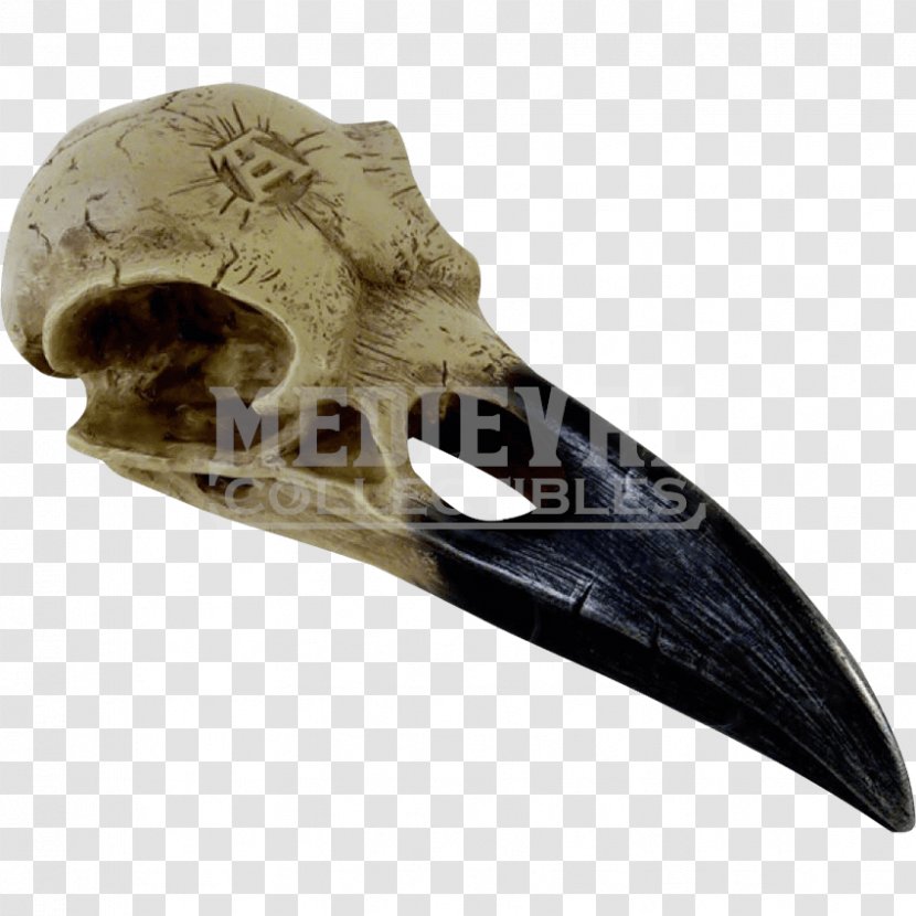 The Raven Skull Common Alchemy Crane - Face Transparent PNG