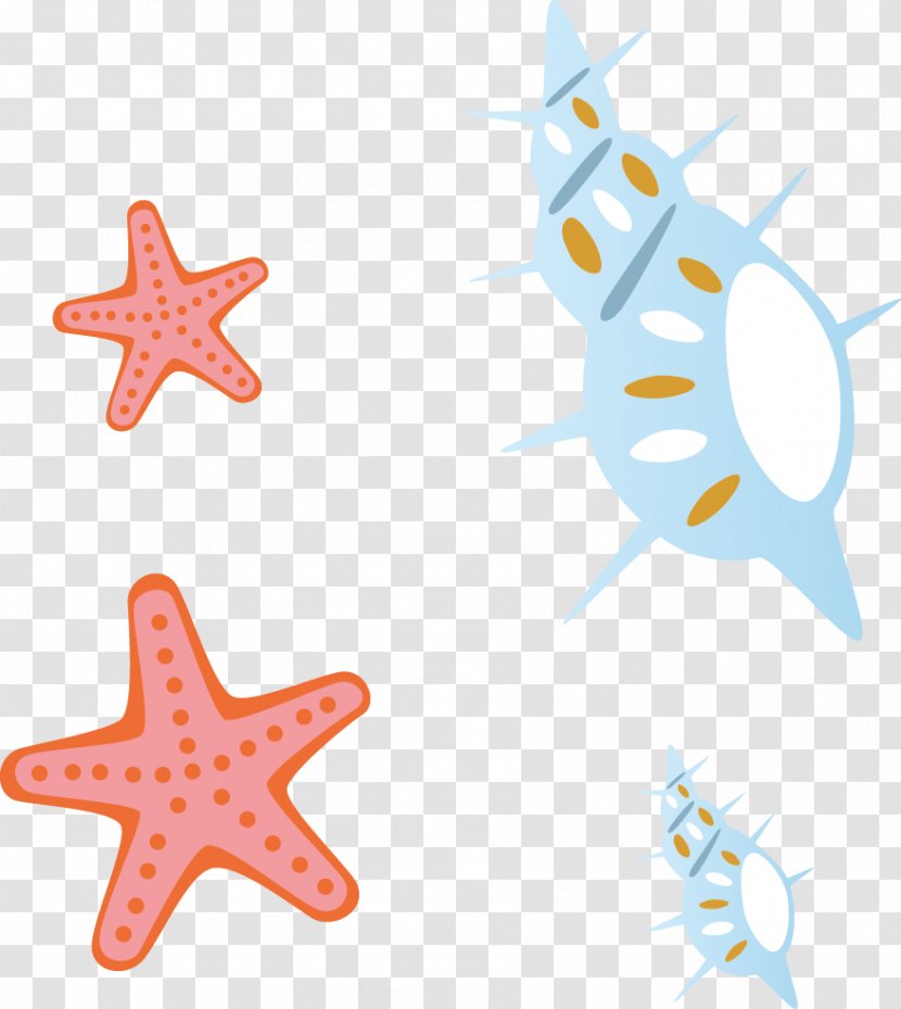 Starfish Clip Art - Point - Cartoon Conch Material Transparent PNG