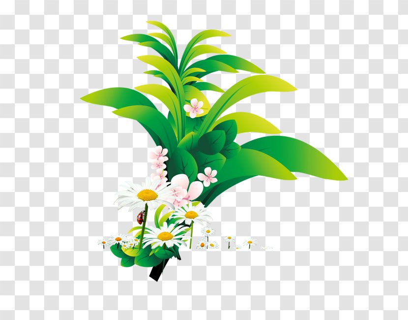 Computer File - Resource - Green Leaf Floral Decoration Transparent PNG