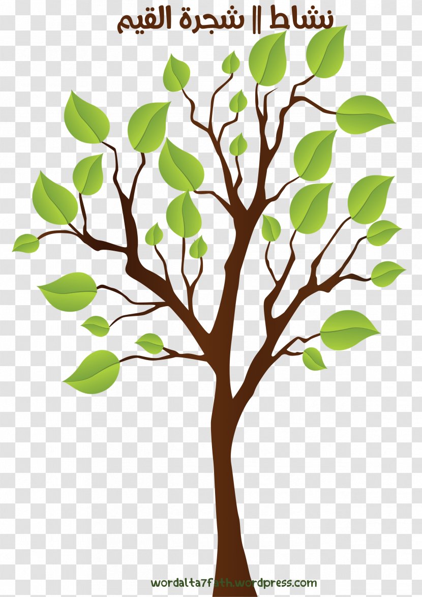 Twig Qur'an Tree Branch - Leaf Transparent PNG