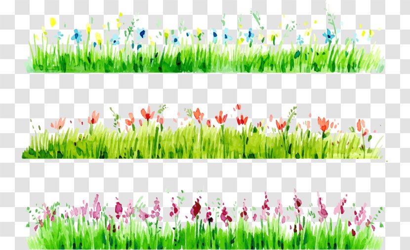 Watercolor Painting Download - Grass - Borders Transparent PNG