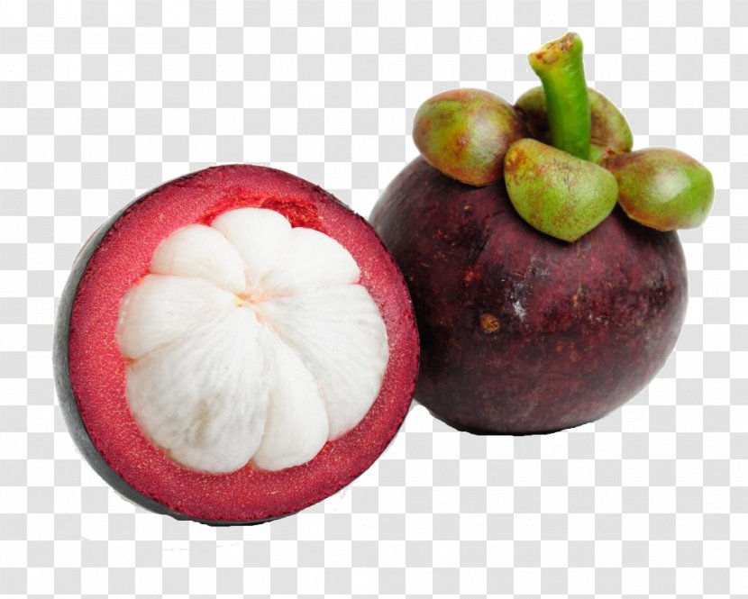 Purple Mangosteen Tropical Fruit Juice Colombian Cuisine - Aril Transparent PNG