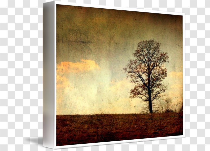 Painting Picture Frames Gallery Wrap Canvas Art - Sky Transparent PNG