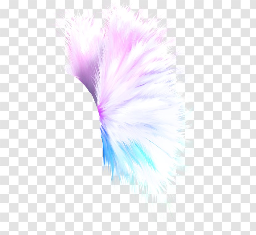 Feather Idea Pinnwand - Pink Transparent PNG