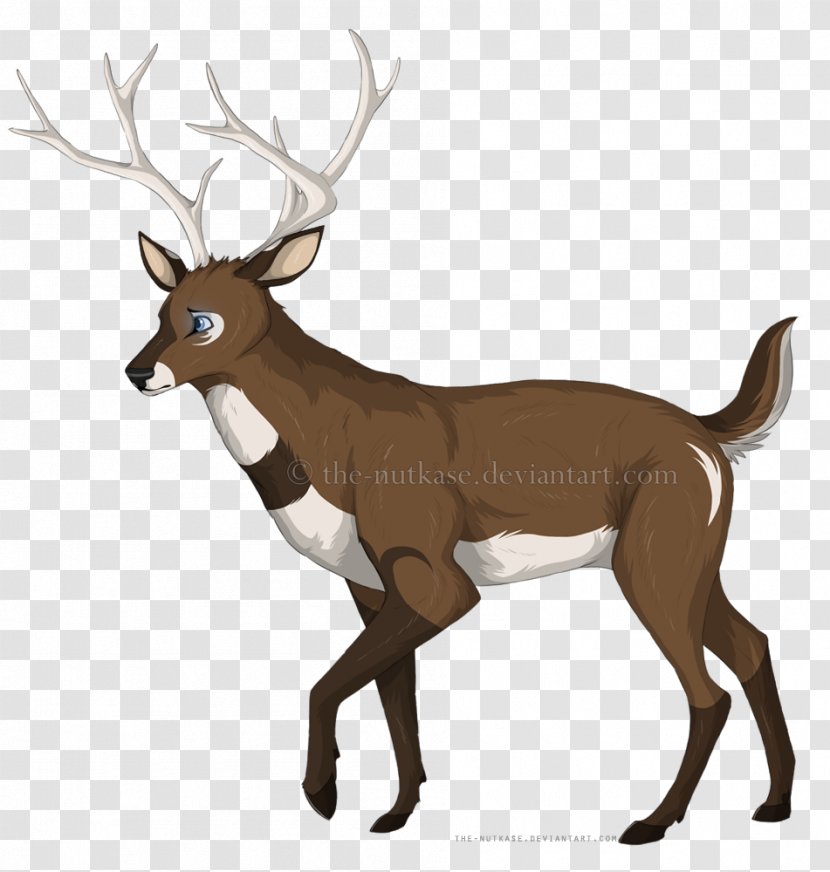 Reindeer Elk White-tailed Deer Red - Animal Transparent PNG