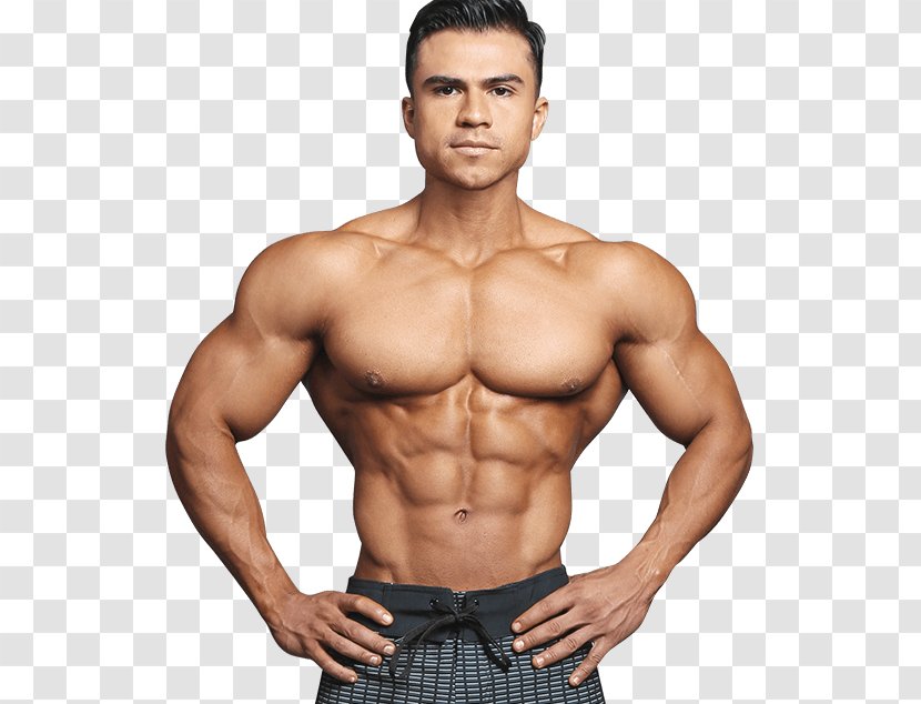 Ismael Martínez Physical Fitness Bodybuilding Centre Exercise - Flower - Professional Athlete Transparent PNG