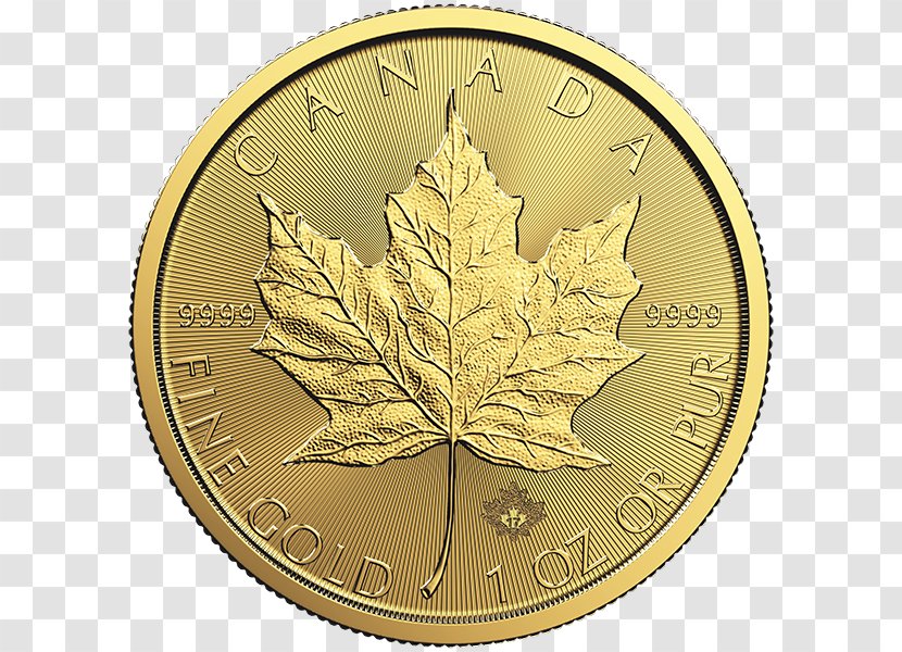 Canadian Gold Maple Leaf Royal Mint Bullion Coin Transparent PNG