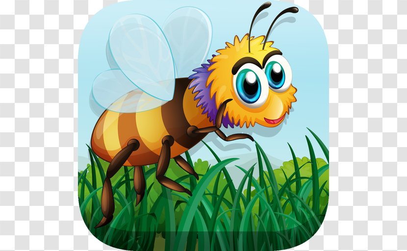 Insect Hornet Honey Bee Apis Florea Apidae Transparent PNG