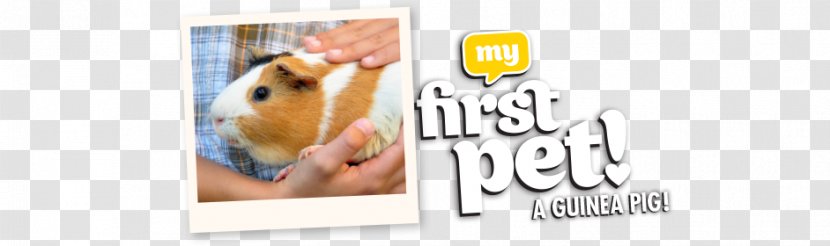 Logo Advertising Pet Brand Font - Guinea Pig Cages Transparent PNG
